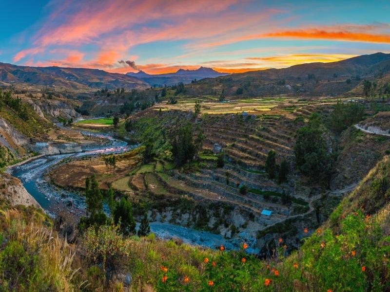 Cañón del Colca